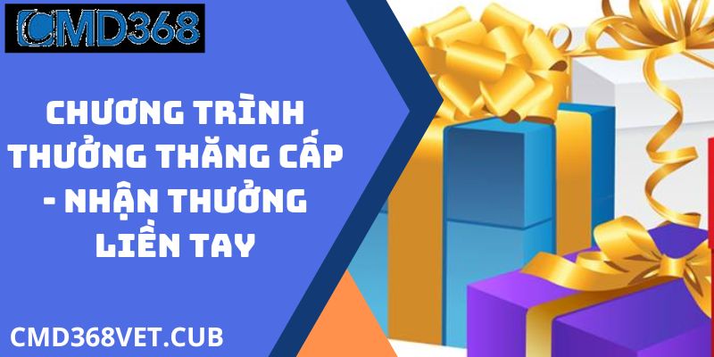 Chương Trình Thưởng Thăng Cấp - Nhận Thưởng Liền Tay